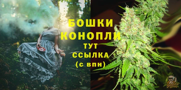 хмурый Бронницы