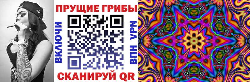 Псилоцибиновые грибы прущие грибы  Старица 